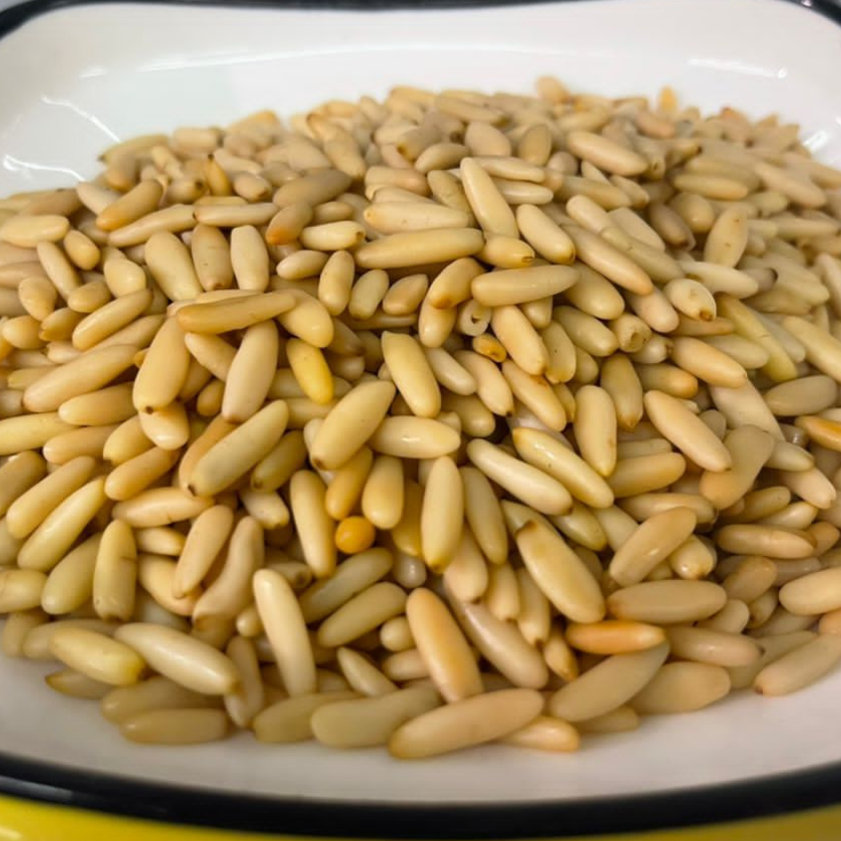 صنوبر نيء
