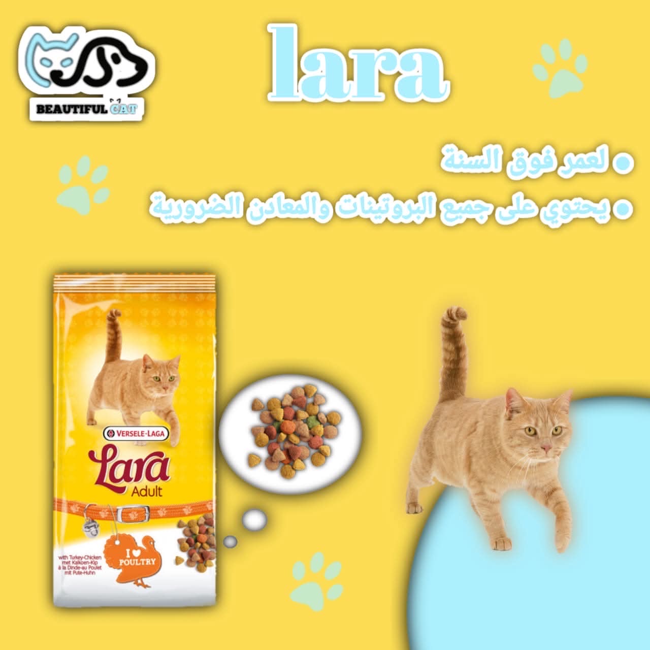 دراي فود لارا