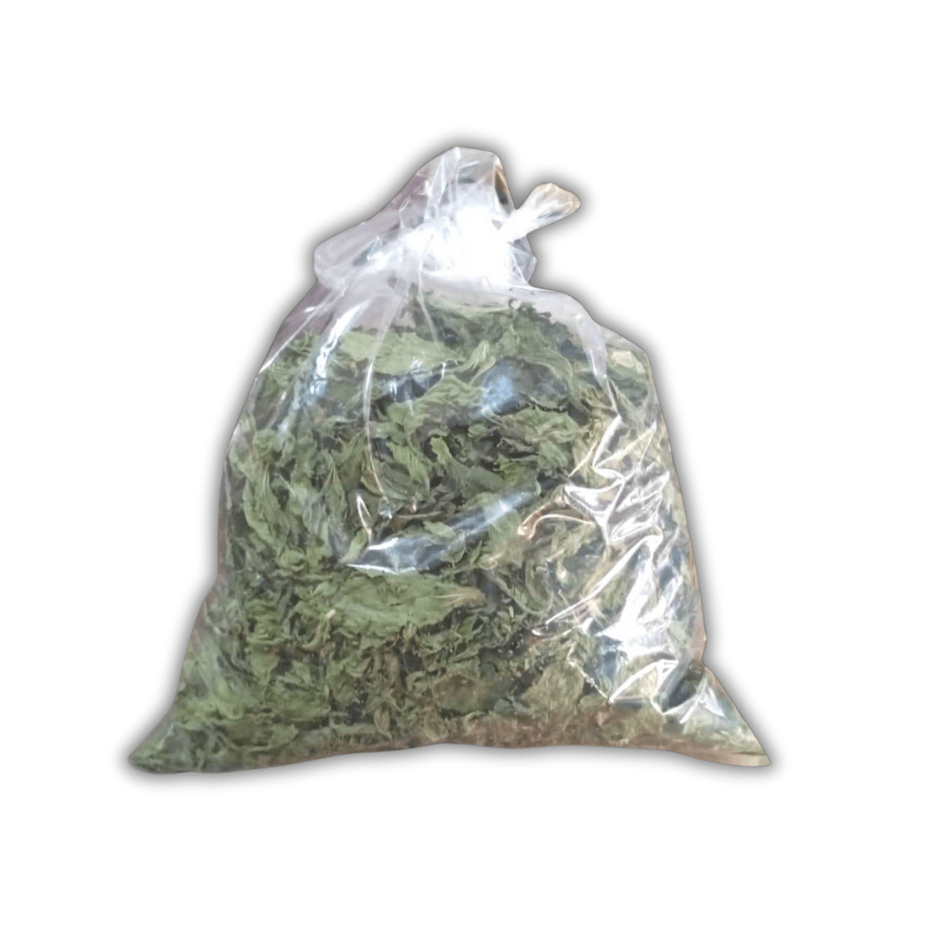 ملوخية مونة