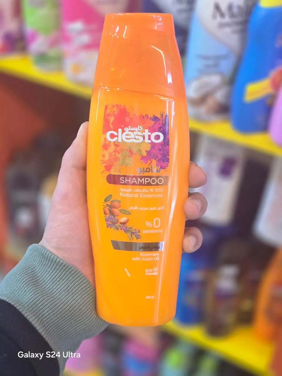 شامبو كليستو