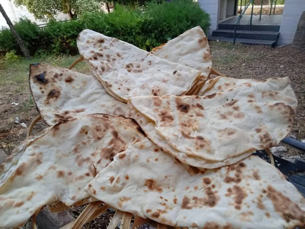 فطيرة جبنة