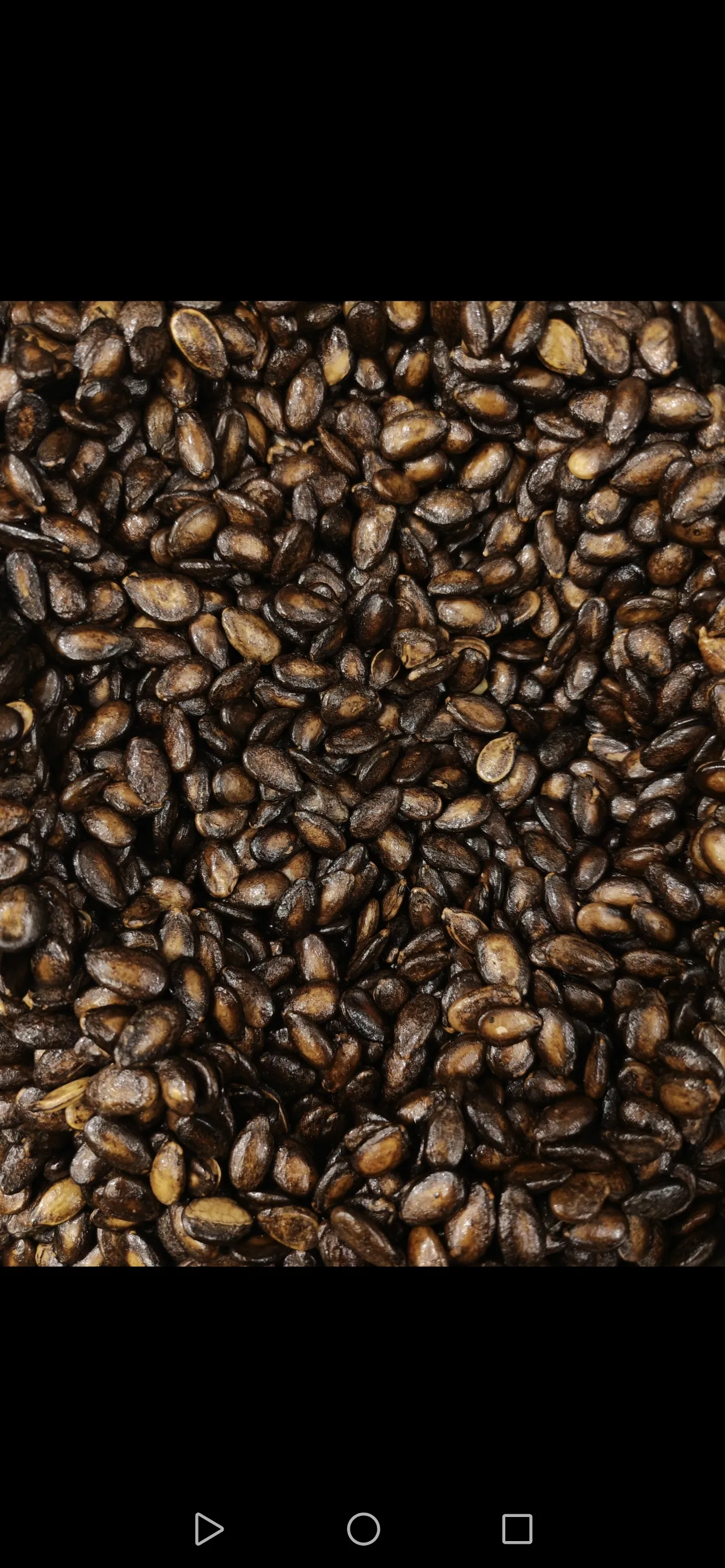 جبس اسود