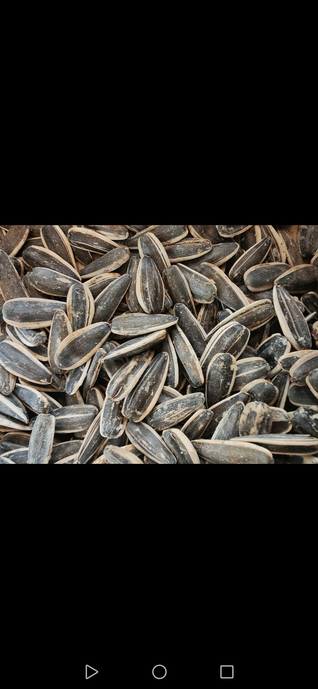 ميال صاج