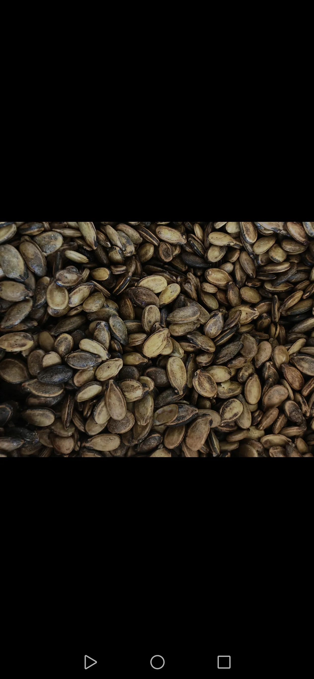 جبس اصفر
