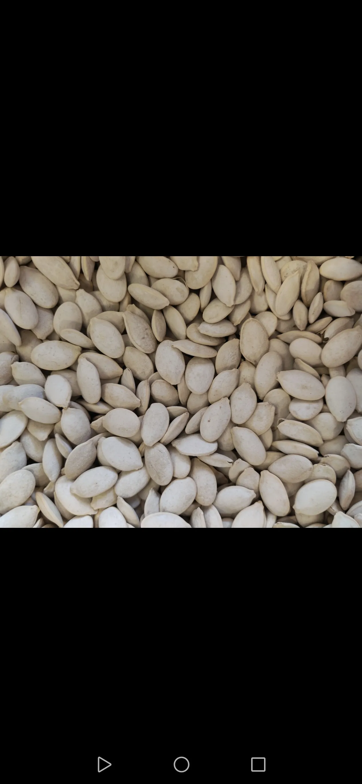 بزر ابيض