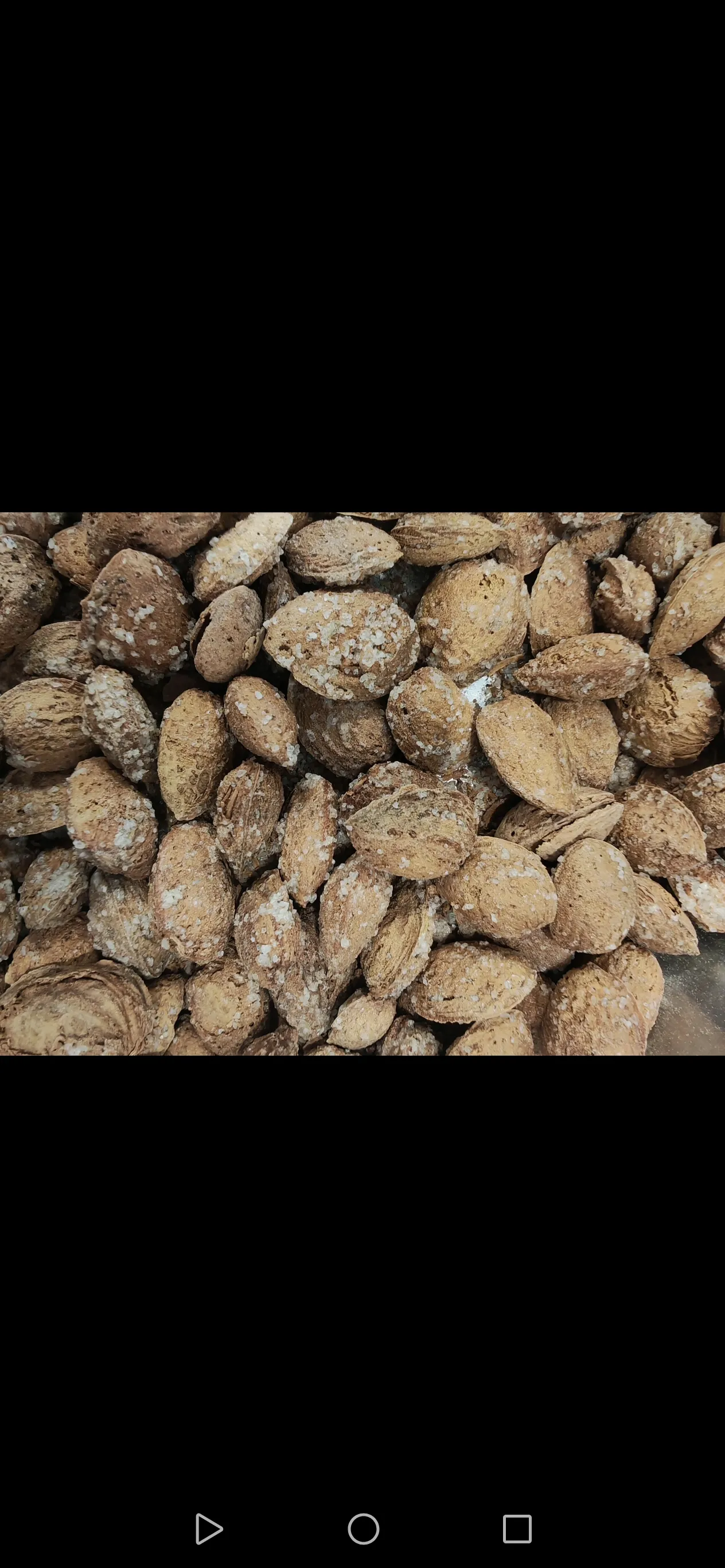 لوز بقشرو