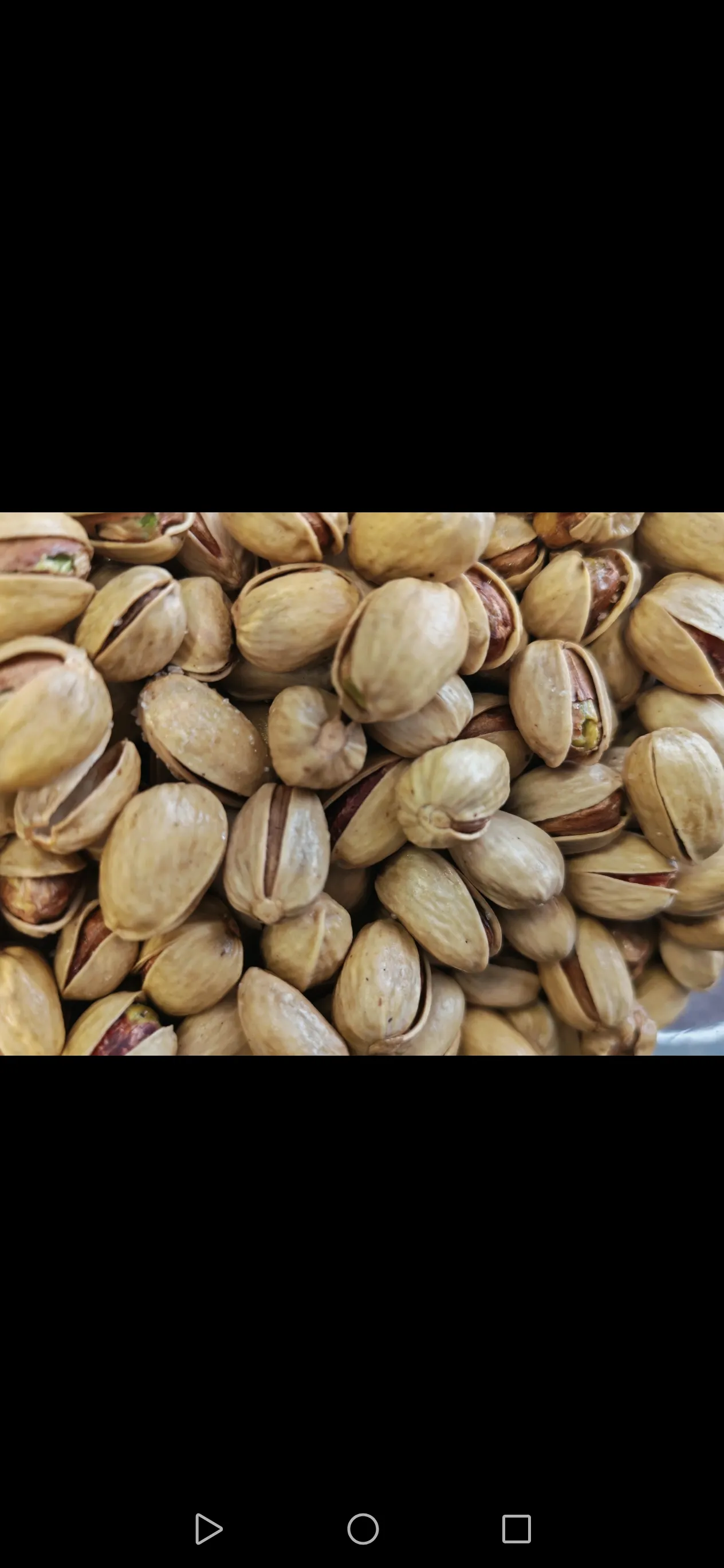 فستق حلبي