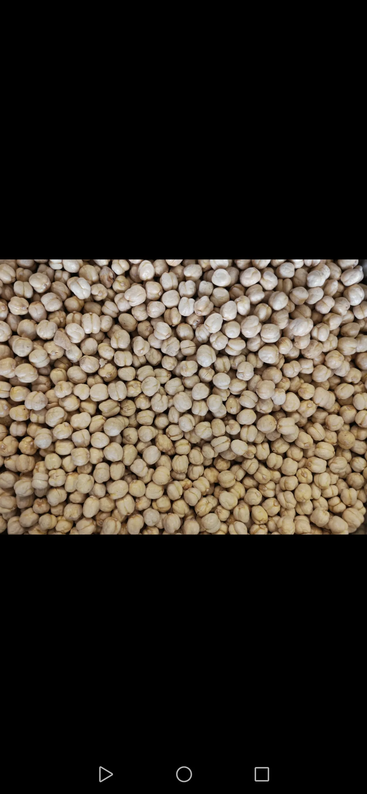 قضامة