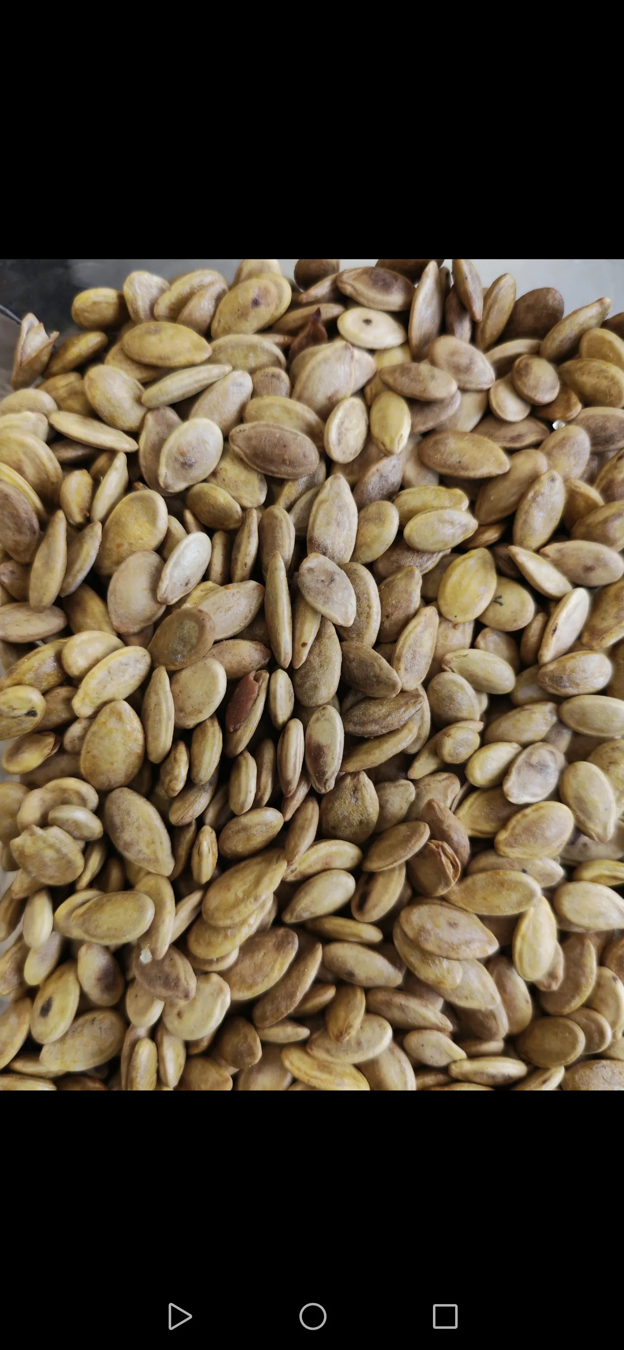بزر العشاق