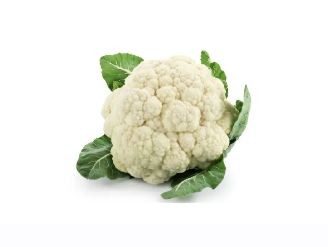 زهرة  بلدية