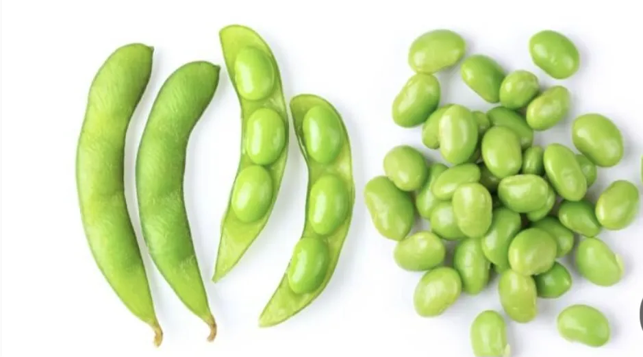 فول اخضر