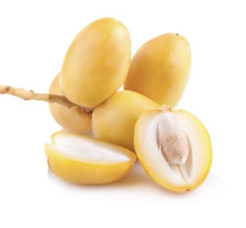 بلح