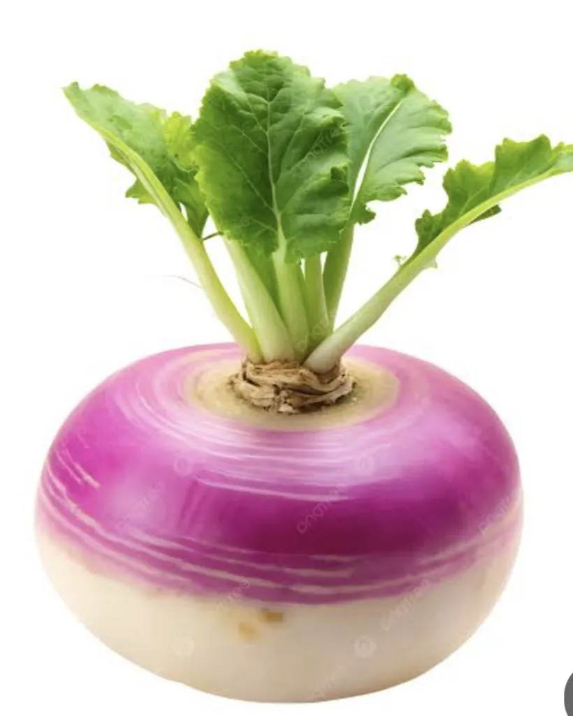 لفت