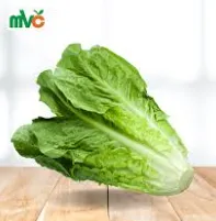 خس