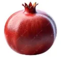 رمان اكسترا