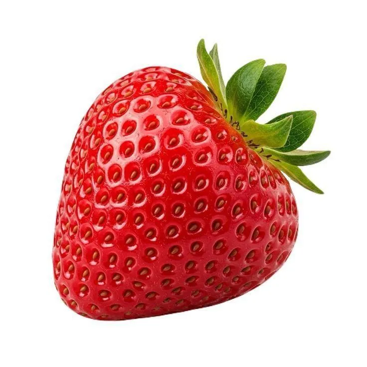 فريز