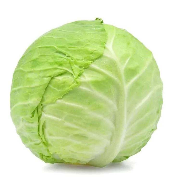 ملفوف أخضر