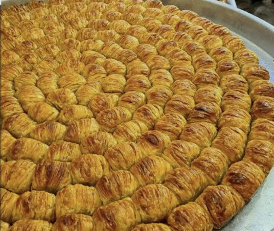 شعيبية بالقشطة