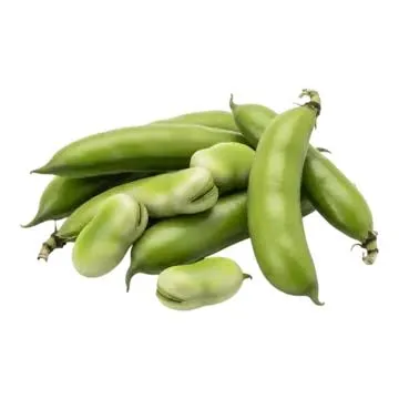 فول أخضر