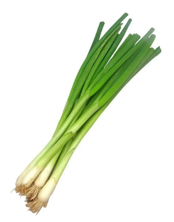 بصل أخضر