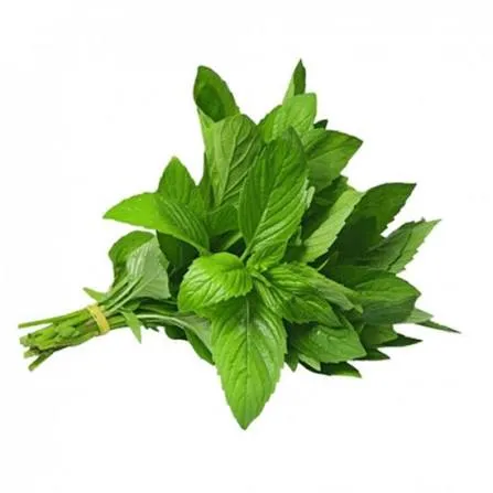 نعنع