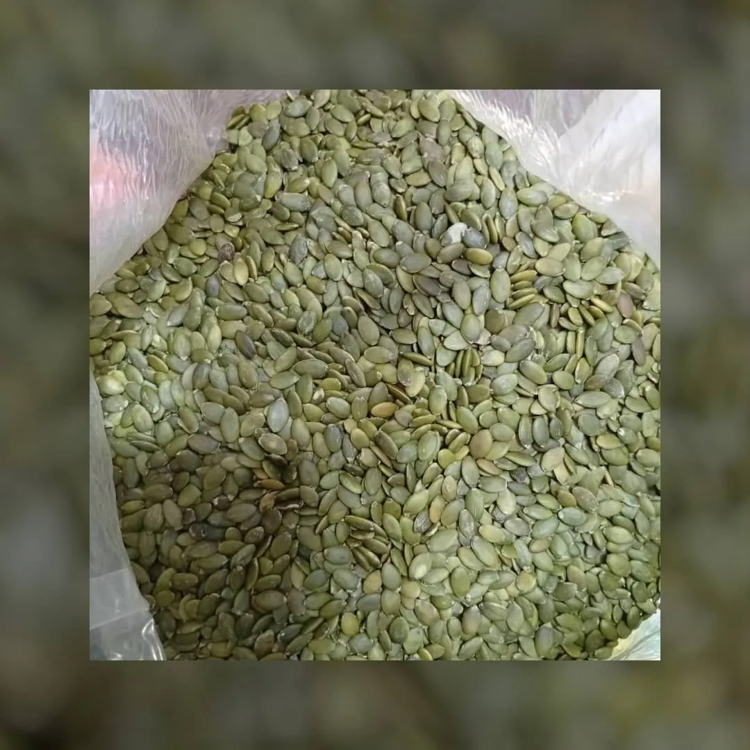 بذر القرع