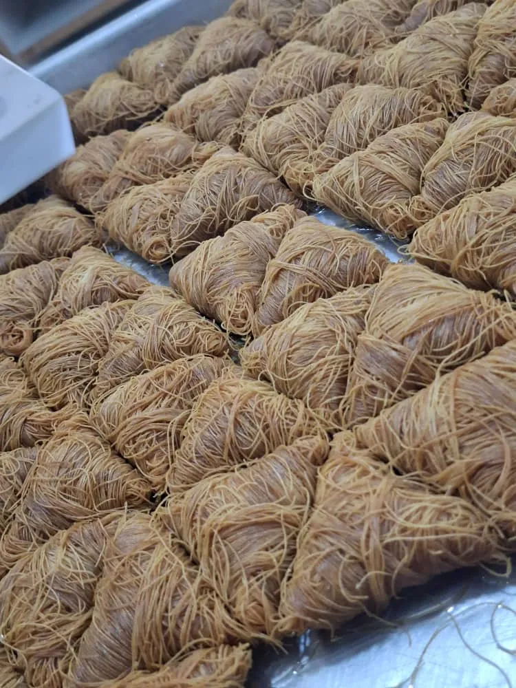فيصيليات
