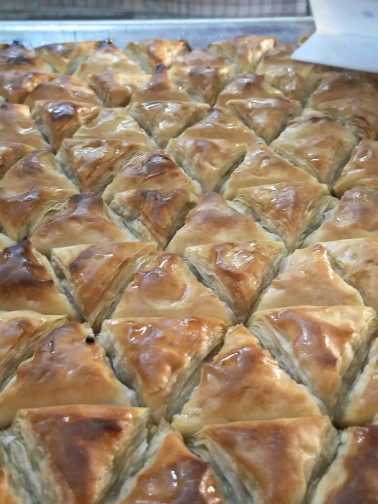 وربات