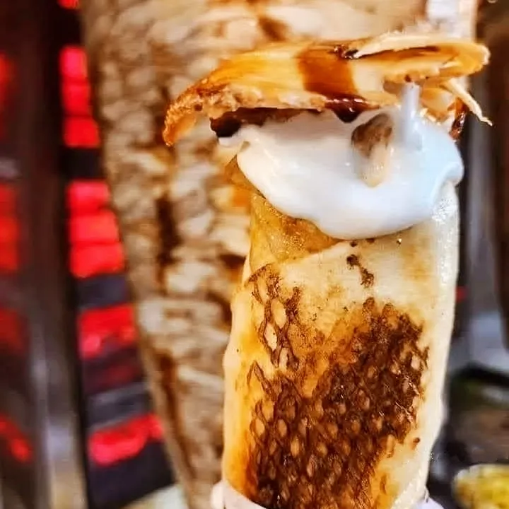 خرطوشة دجاج