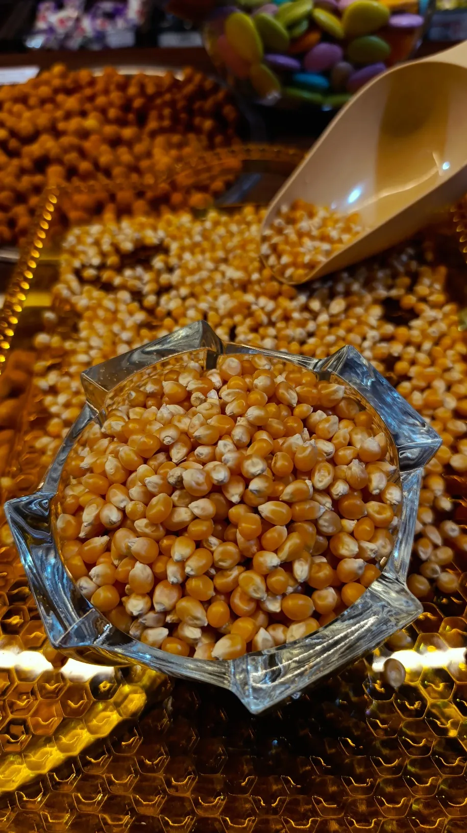 بوشار