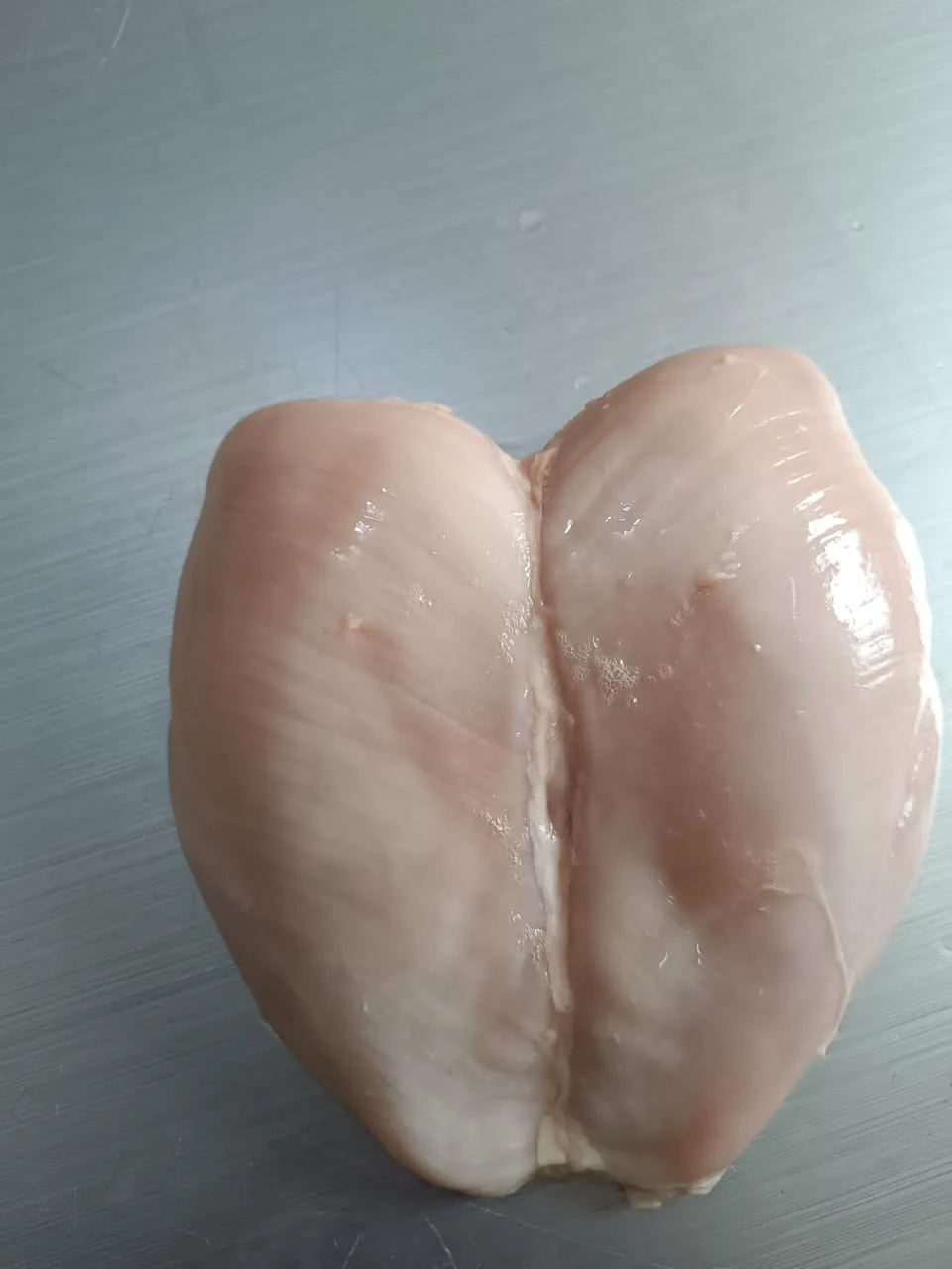 سفن بدون عضم( شرحات)