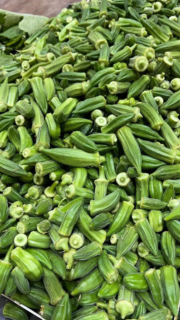 بامية