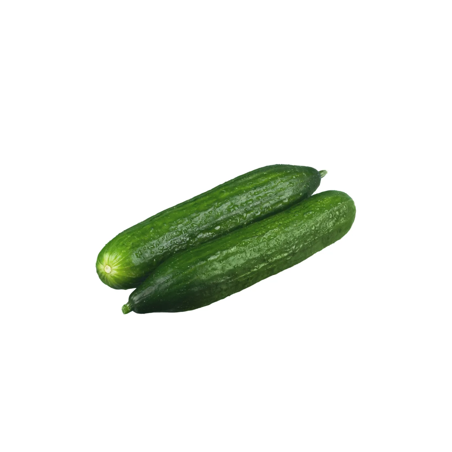 خيار بلدي