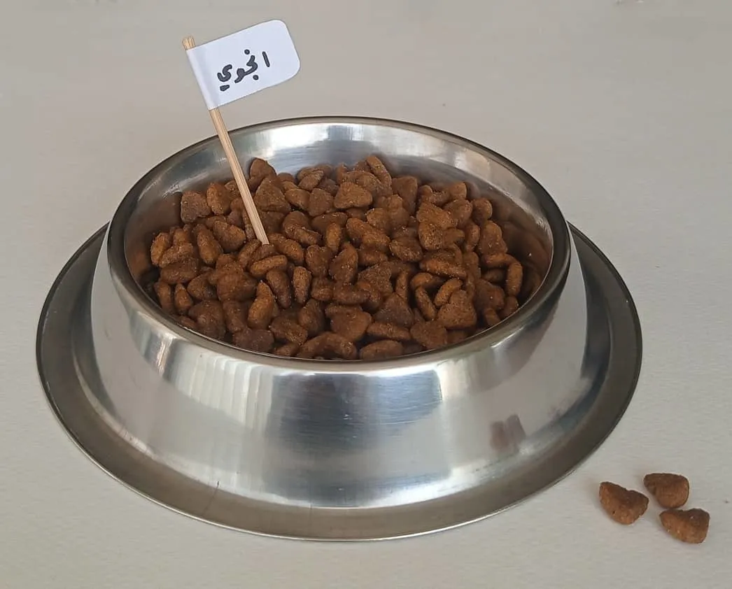 إنجوي