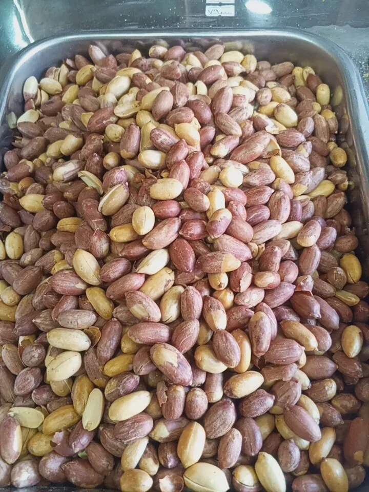 فستق ساحلي
