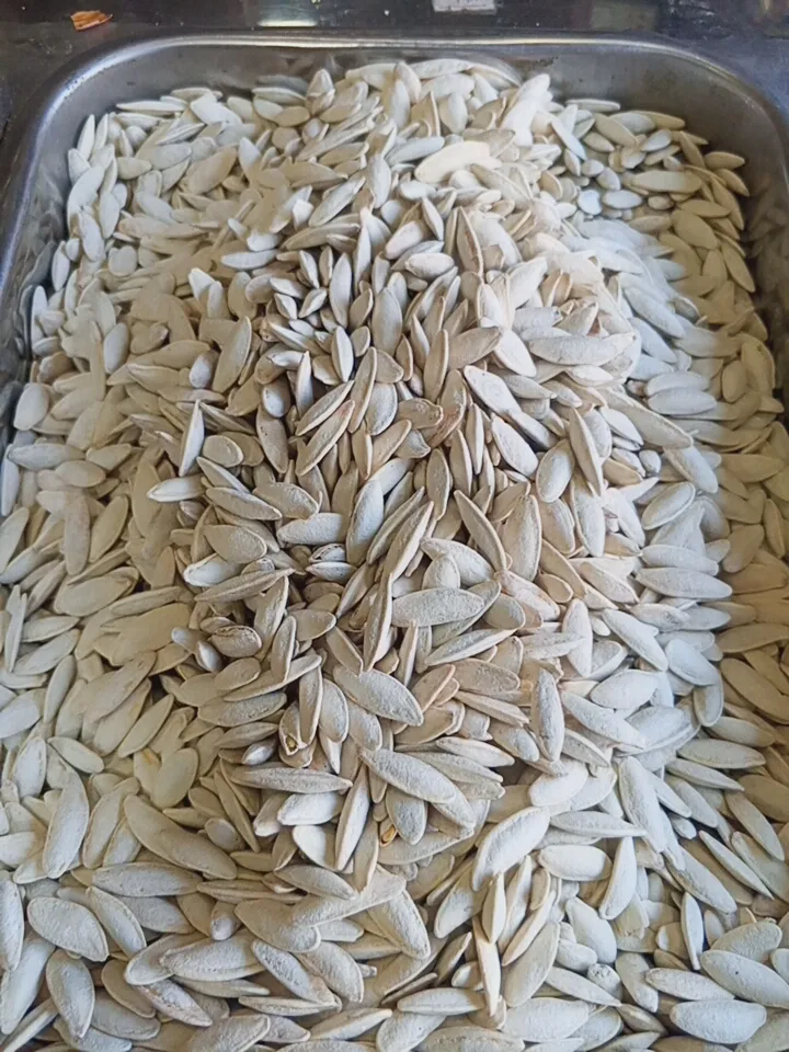 بزر كوسا