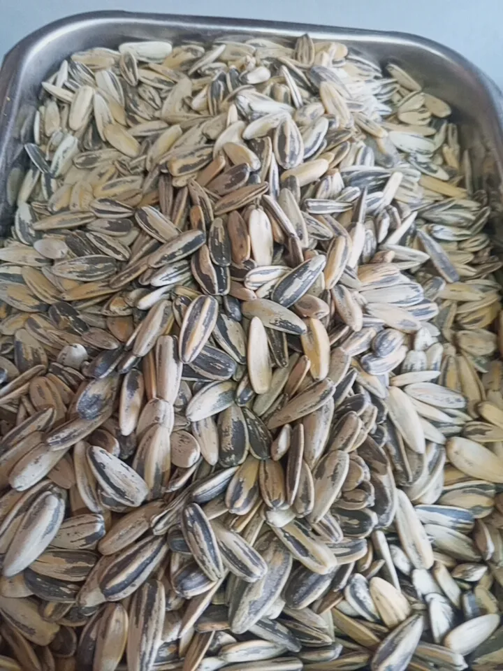 بزر ميال مقشور