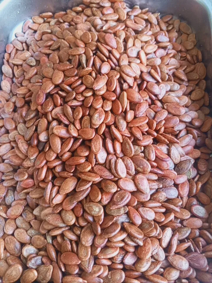 بزر جبس ايراني
