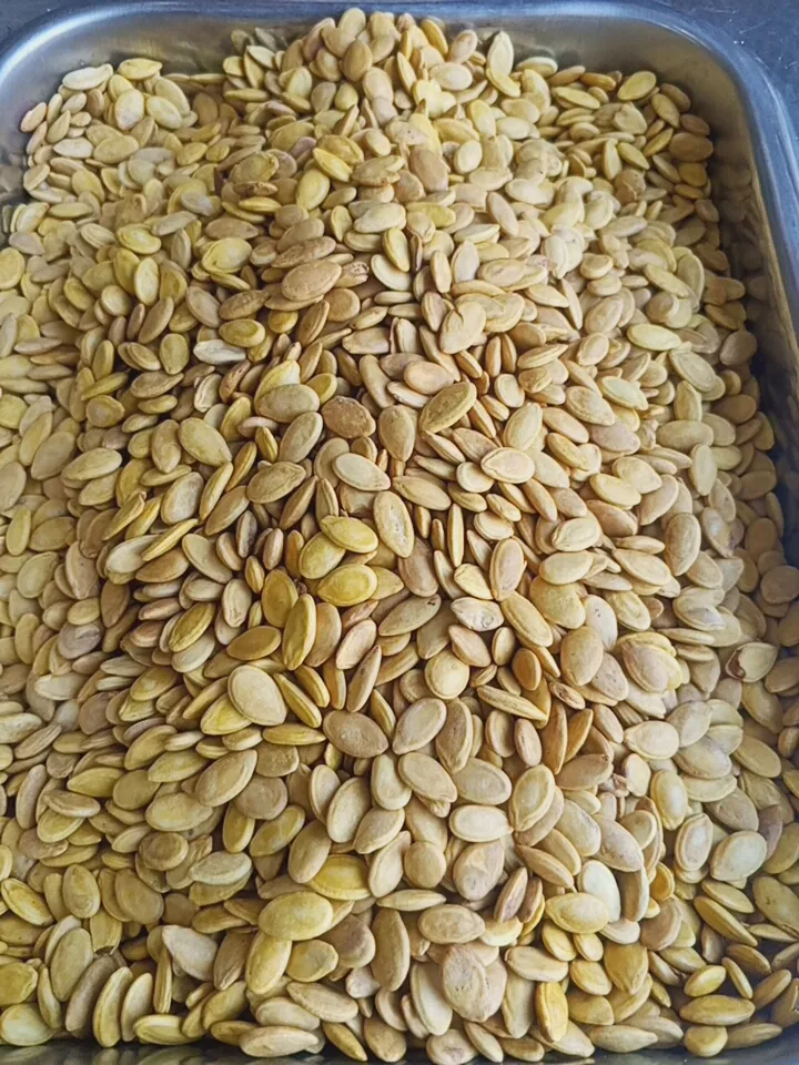 بزر اصفر