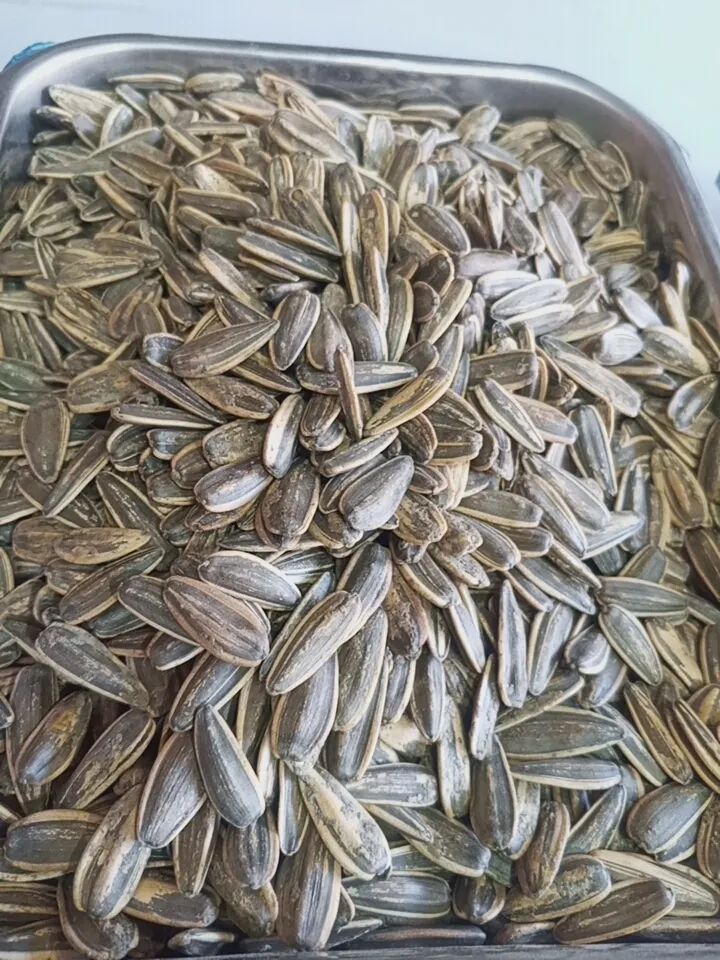 بزر ميال