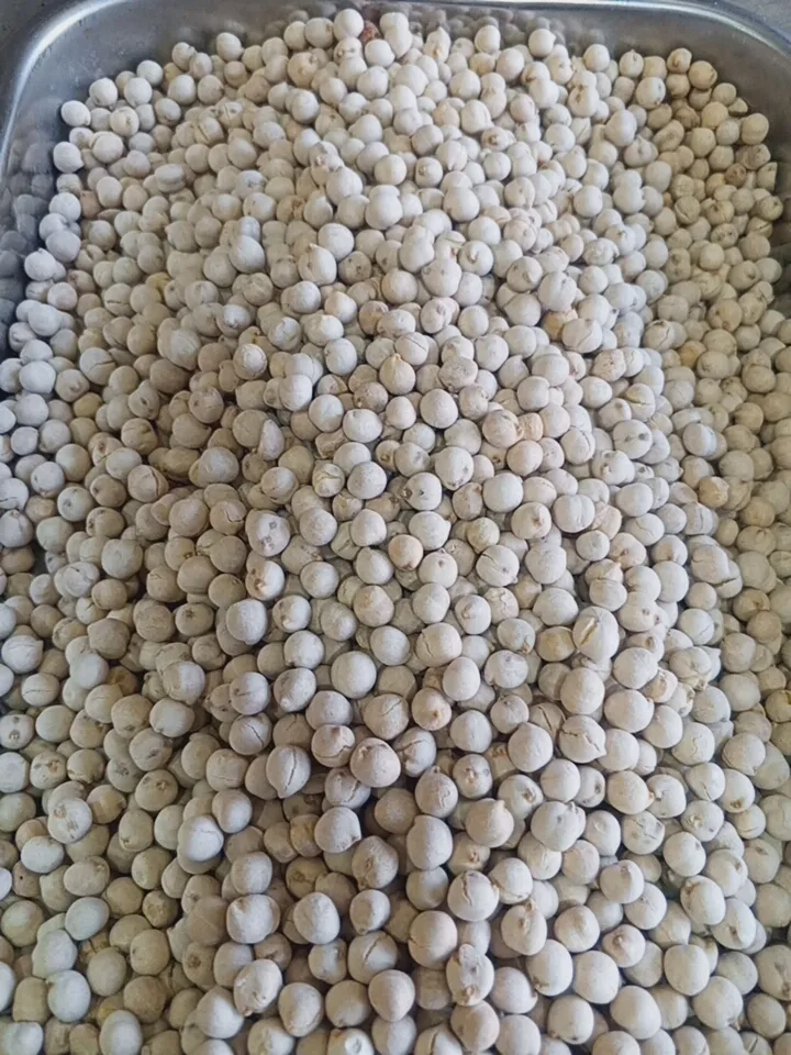قضامة