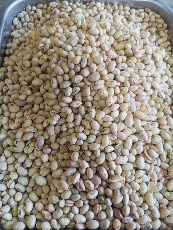 فول صويا