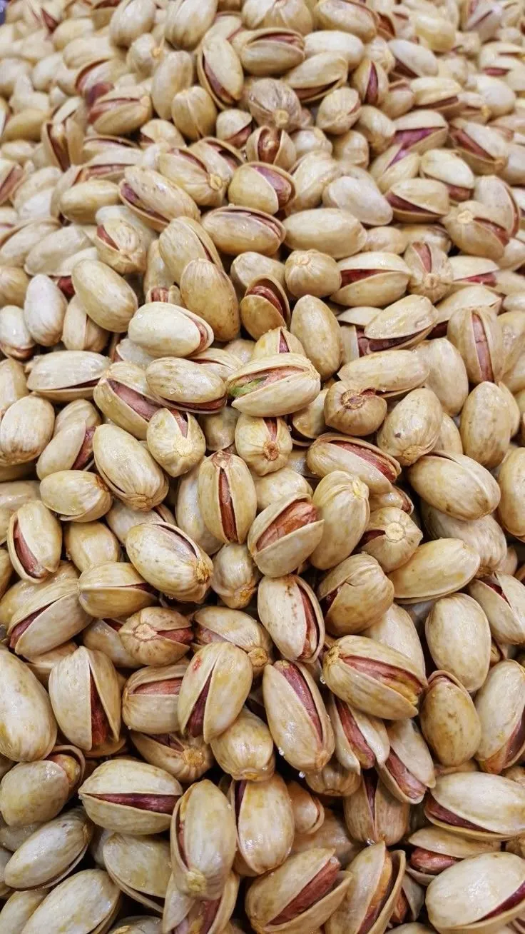 فستق حلبي