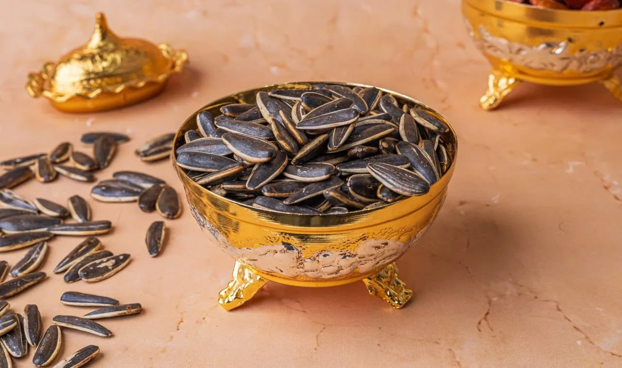 لب دوار سادة