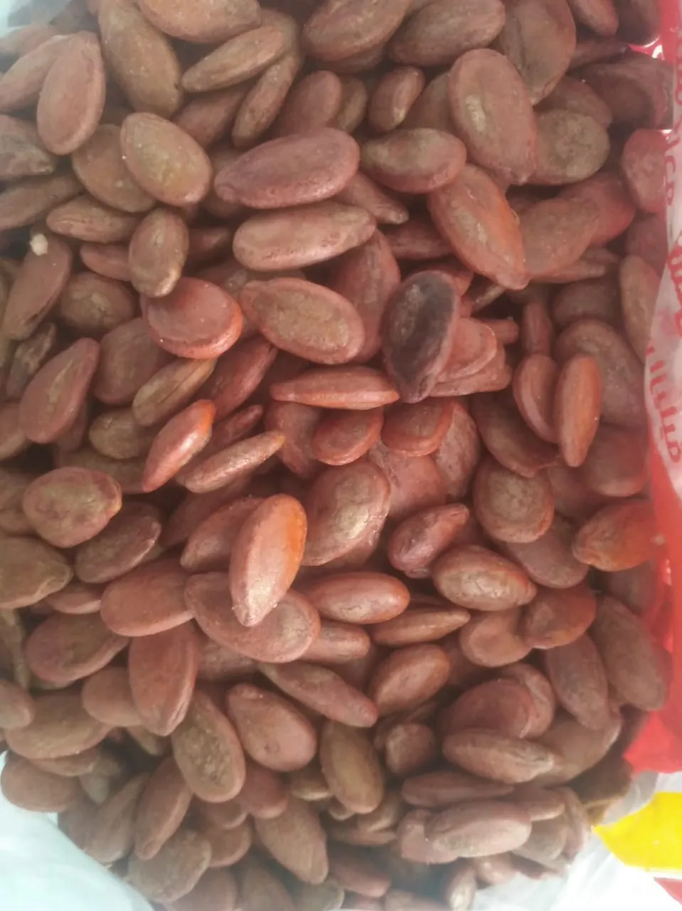 بذر ايراني احمر