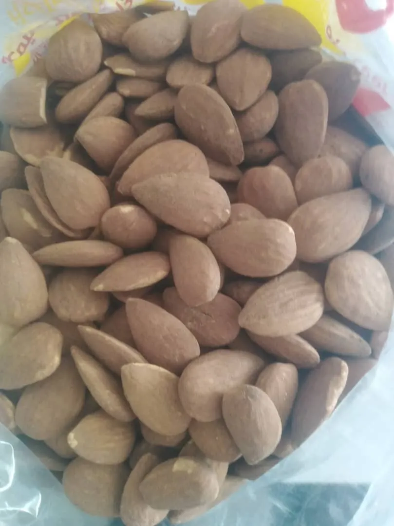 لوز اسباني