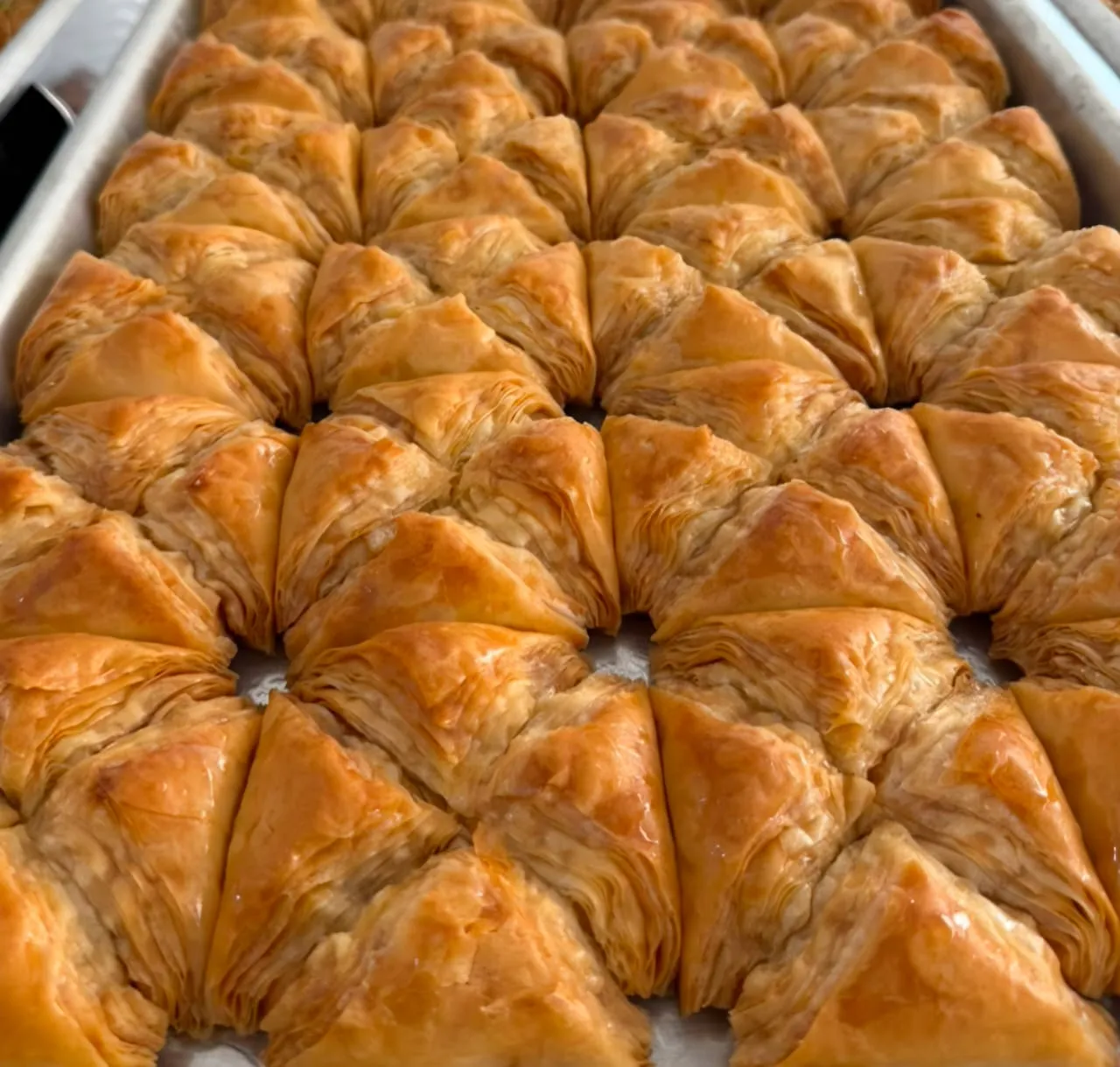 وربات قشطة