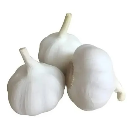 ثوم صيني يابس 500 غ