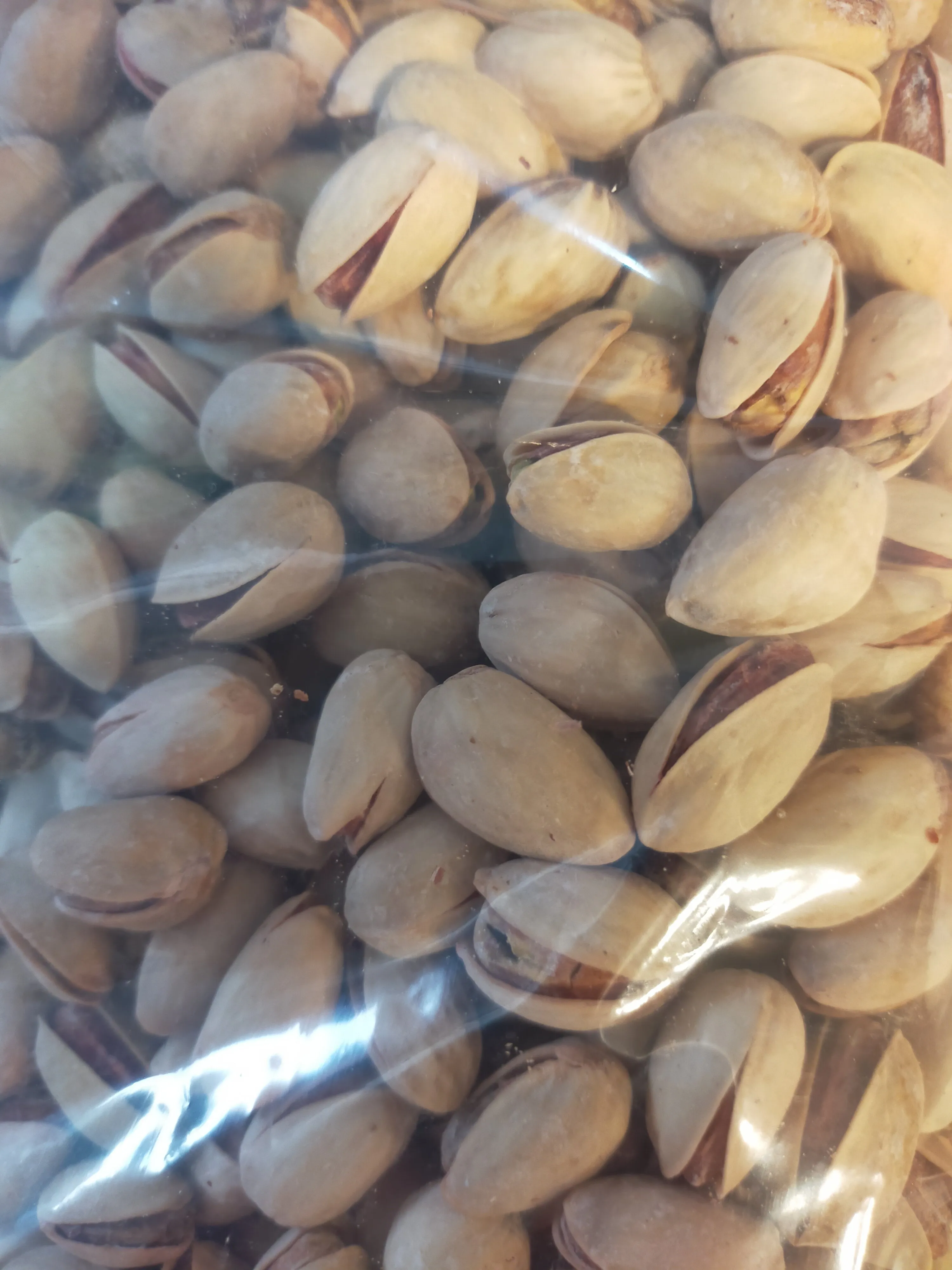 فستق حلبي