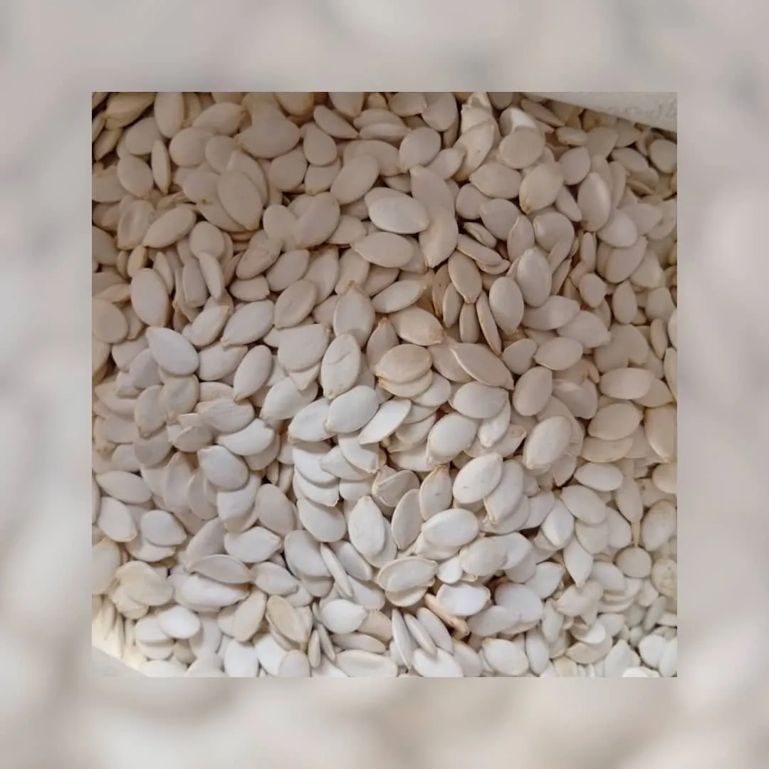 بزر قرع